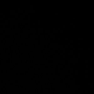 Meet your Posher, Swaggyx_lilly